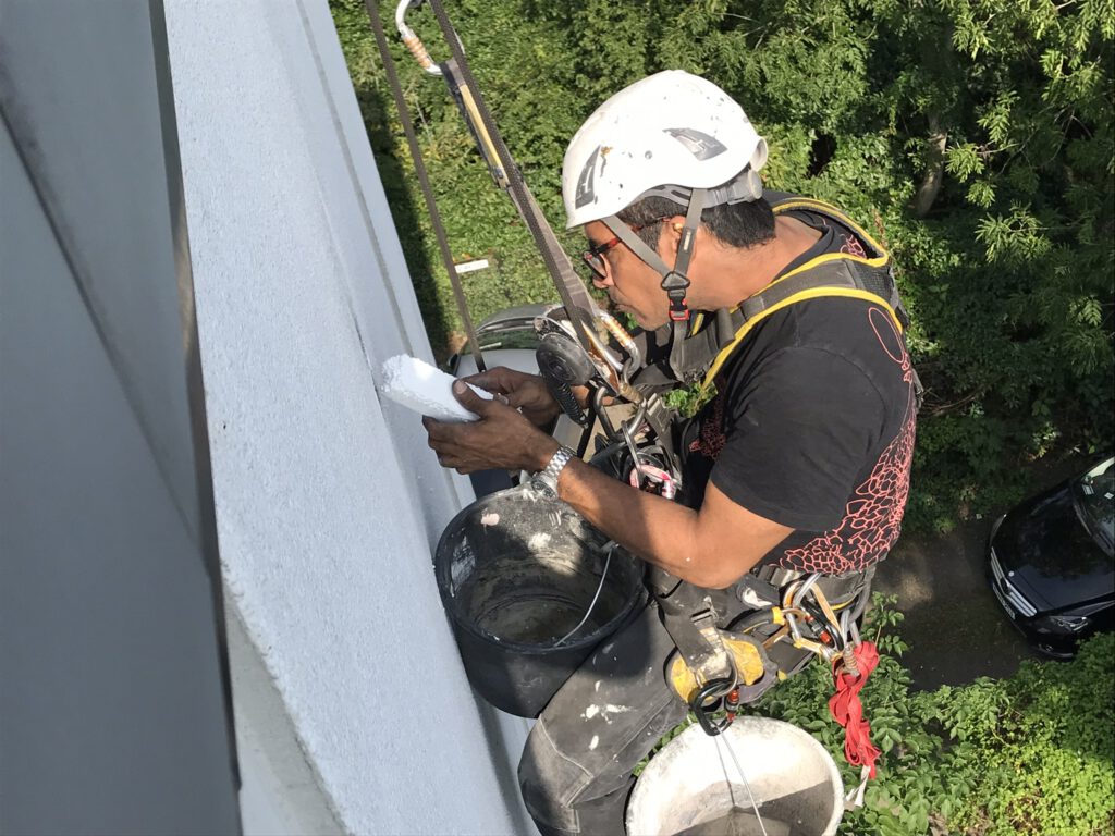 Spechtschaden beseitigen